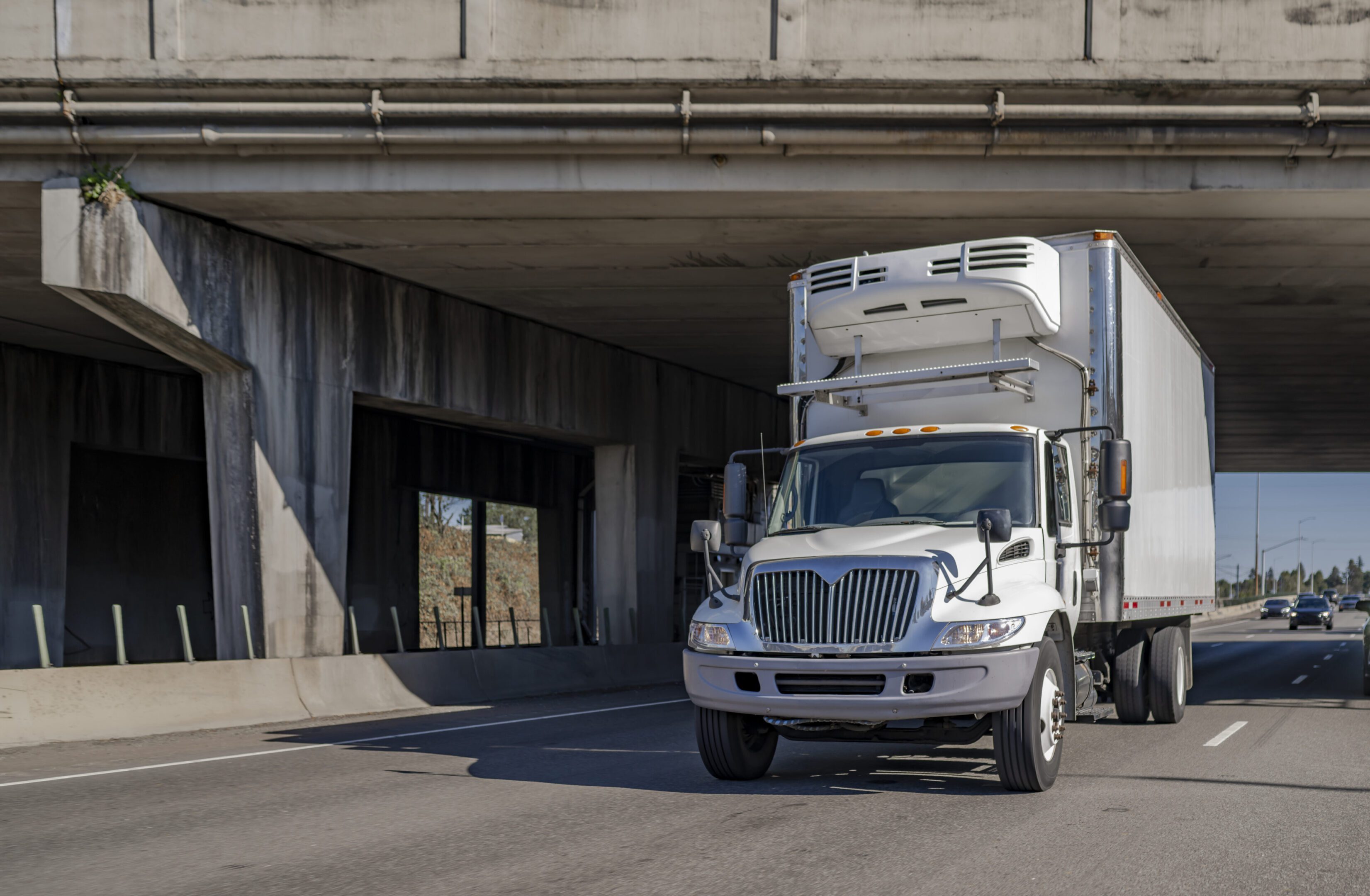 White truck driving under concrete overpass.